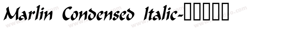 Marlin Condensed Italic字体转换